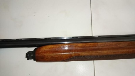 Vacio el armero para un nuevo proyecto. Me hace falta cash. :D  :D 
Se vende escopeta repetidora (semiautomatica)de 01