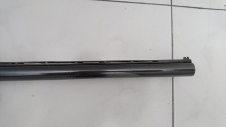 Vacio el armero para un nuevo proyecto. Me hace falta cash. :D  :D 
Se vende escopeta repetidora (semiautomatica)de 11