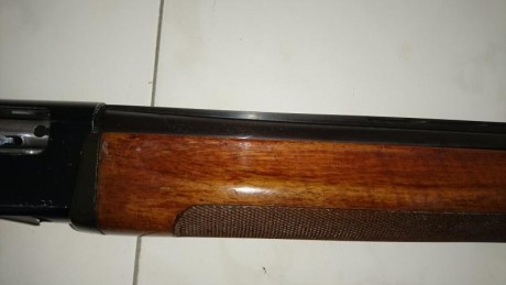 Vacio el armero para un nuevo proyecto. Me hace falta cash. :D  :D 
Se vende escopeta repetidora (semiautomatica)de 22