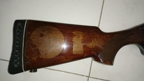 Vacio el armero para un nuevo proyecto. Me hace falta cash. :D  :D 
Se vende escopeta repetidora (semiautomatica)de 20
