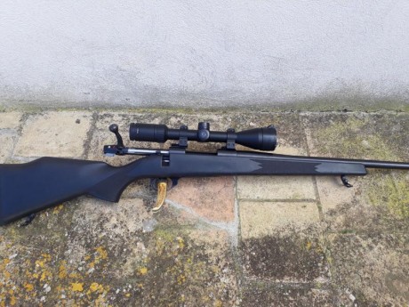Se vende weatherby vanguard  con monturas fijas de pulgada en calibre 243 .
 
Portes cuenta comprador. 02
