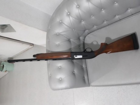 Cambio beretta al391 Urika totalmente nuevecita de Pavón y maderas con un encare buenísimo se puede ver 01