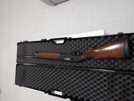Cambio beretta al391 Urika totalmente nuevecita de Pavón y maderas con un encare buenísimo se puede ver 00