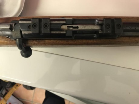 Lleva monturas picanti para visor  200€ 01