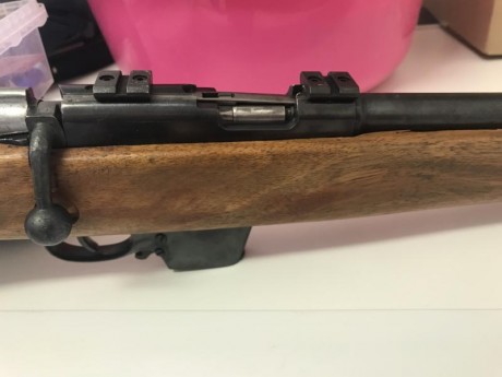 Lleva monturas picanti para visor  200€ 00