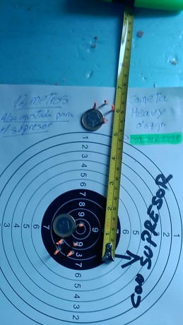 Compañeros al disparar con mi supertac M25 vortex de hatsan con supresor de la misma marca, el disparo 120