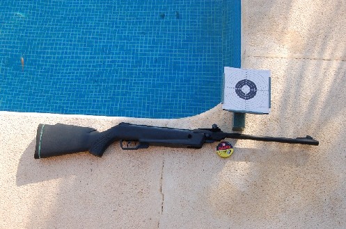 Es verano y disparar a dianas se hace aburrido. 

Ya que disparar a palomas es ilegal; hay que cambiar 00