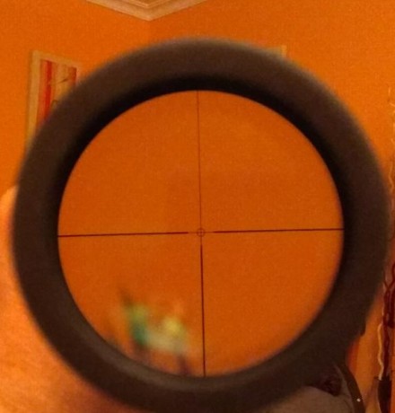 Buenas noches se vende el visor arriba indicado.
El motivo de la venta es que este año he decidido pasarme 01