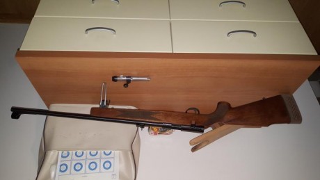 Vendo una carabina Sako P72, de cerrojo muy precisa, calibre 22, un cargador de 5 balas original y otro 12
