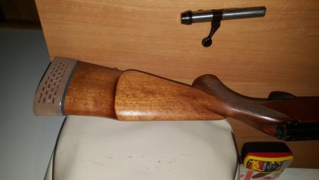 Vendo una carabina Sako P72, de cerrojo muy precisa, calibre 22, un cargador de 5 balas original y otro 11