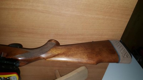 Vendo una carabina Sako P72, de cerrojo muy precisa, calibre 22, un cargador de 5 balas original y otro 22