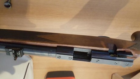 Vendo una carabina Sako P72, de cerrojo muy precisa, calibre 22, un cargador de 5 balas original y otro 21