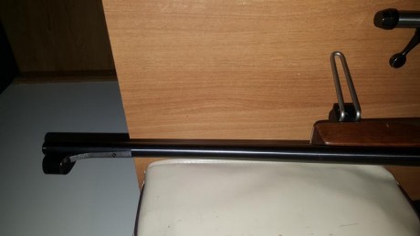 Vendo una carabina Sako P72, de cerrojo muy precisa, calibre 22, un cargador de 5 balas original y otro 20