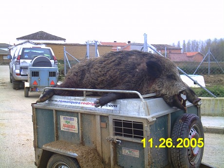 ...la que yo tengo, y es que dentro de unos años me he propuesto comprar un rifle como el que tengo, un 90
