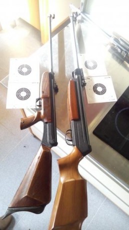 Buenas tardes compañeros, queria comentaros mi experiencia con una carabina gamo Black maxxim igt mach1 161