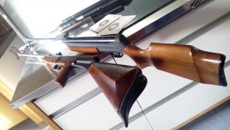 Buenas tardes compañeros, queria comentaros mi experiencia con una carabina gamo Black maxxim igt mach1 160