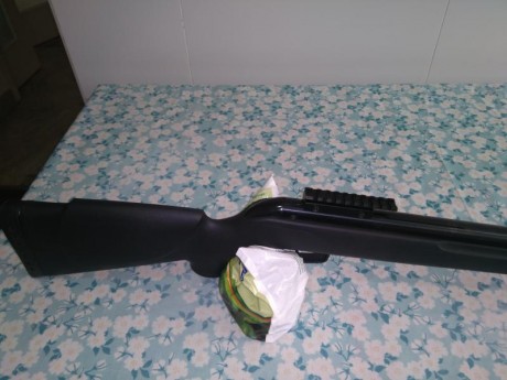 Vendo por no usar, carabina Gamo Shadow CSI calibre 4.5mm, con casi ningun uso. Practicamente nueva, SIN 01