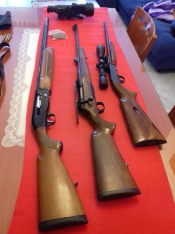 Buenas tarde, ofrezco un lote de armas de mi propiedad porque quiero cambiar de modalidad venatoria, me 00