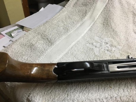 Cambio escopeta semiautomatica Mab por visor terrestre o carabina del 22 tipo winchester, ajustando diferencias 11