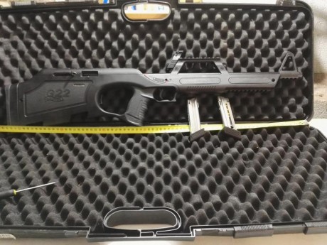 Carabina WALTHER G22 ,22Lr, en perfecto estado,pocos tiros, con estuche original, dos ca
rgadores de 10 02