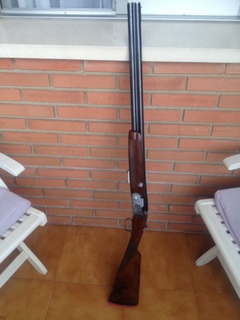 Vendo peeciosa escopeta de cañones superpuestos marca Beretta, modelo 686.
Choques intercambiables Briley 00