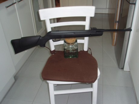 Hola,
Se trata de una Gamo Wishper a la que hemos privado de la "trompeta".
Se le he instalado 01