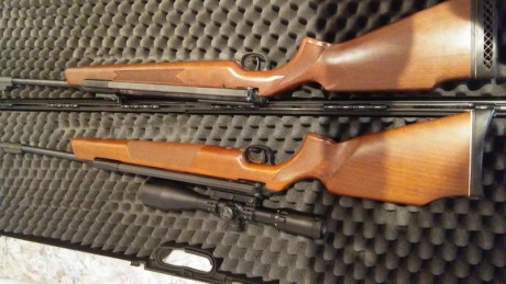Por cuestiones familiares, vendo mis colección de carabinas marca diana:

-Carabina diana 54 TO1 del CAL 02