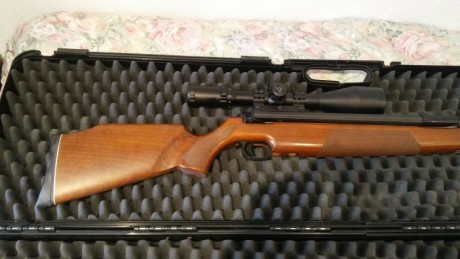 Por cuestiones familiares, vendo mis colección de carabinas marca diana:

-Carabina diana 54 TO1 del CAL 01