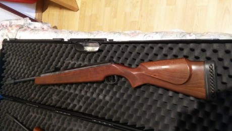 Por cuestiones familiares, vendo mis colección de carabinas marca diana:

-Carabina diana 54 TO1 del CAL 00