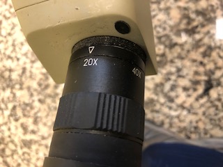 Telescopio terrestre Crossnar 20x -- 60x  REBAJADO 
Aumentos de 20x a 60x
Se ve perfectamente a 25m. a 01