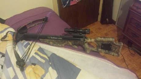 Se vende ballesta de poleas marca tempoint de 165 libras de potencia. Con visor  de ballesta con distintas 00