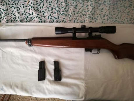 Se vende la carabina de las fotos.

Es una carabina del calibre 22Lr. La copia de la M1 americana.
El 02