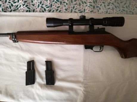 Se vende la carabina de las fotos.

Es una carabina del calibre 22Lr. La copia de la M1 americana.
El 01