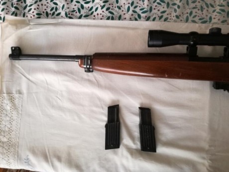 Se vende la carabina de las fotos.

Es una carabina del calibre 22Lr. La copia de la M1 americana.
El 00