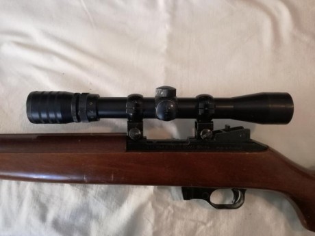 Se vende la carabina de las fotos.

Es una carabina del calibre 22Lr. La copia de la M1 americana.
El 10