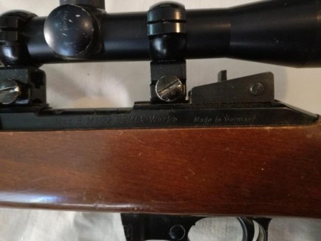 Se vende la carabina de las fotos.

Es una carabina del calibre 22Lr. La copia de la M1 americana.
El 21