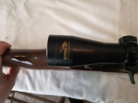 Se vende la carabina de las fotos.

Es una carabina del calibre 22Lr. La copia de la M1 americana.
El 20