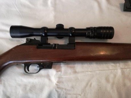 Se vende la carabina de las fotos.

Es una carabina del calibre 22Lr. La copia de la M1 americana.
El 32