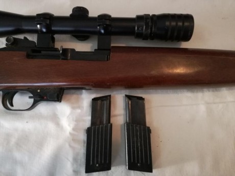 Se vende la carabina de las fotos.

Es una carabina del calibre 22Lr. La copia de la M1 americana.
El 30