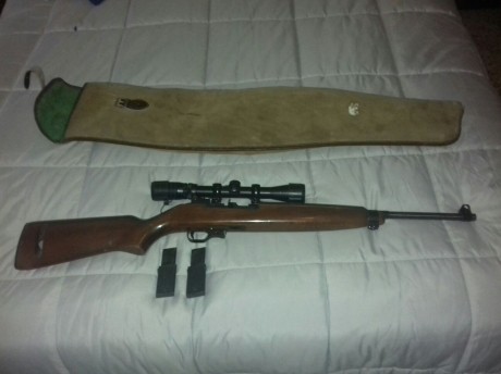 Se vende la carabina de las fotos.

Es una carabina del calibre 22Lr. La copia de la M1 americana.
El 40