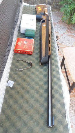  Carabina Mach 54
Culata Moderna
Cerrojo Gordo
Disparador Moderno
Cañon con agrupamiento excepcional para 01