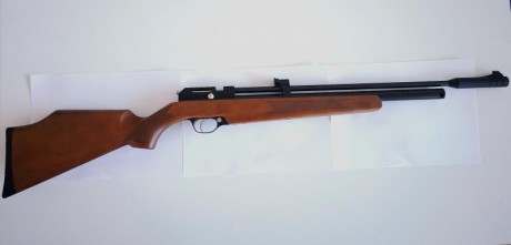 Hola amigos.

     La reciente adquisición de la Stinger me ha llevado a interrogarme por la carabina 110