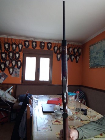 Pues no lo uso y tengo esceso de armas 
El rifle esta en buen estado las monturas son akar y el visor 12