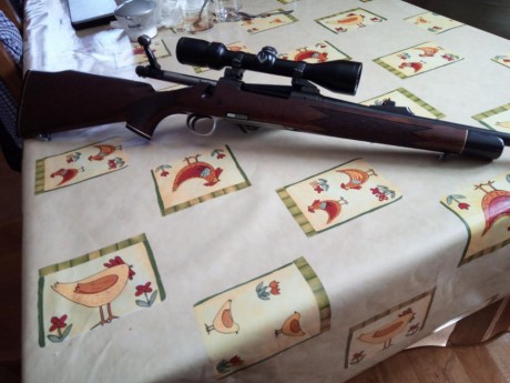 Pues no lo uso y tengo esceso de armas 
El rifle esta en buen estado las monturas son akar y el visor 11