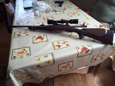 Pues no lo uso y tengo esceso de armas 
El rifle esta en buen estado las monturas son akar y el visor 10