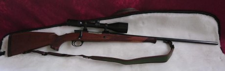 Sólo era para iniciar un debate sobre estos rifles, me refiero a los voere de cerrojo y al semiautomático.

A 111