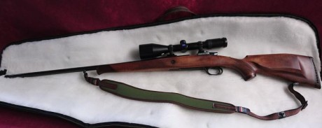 Sólo era para iniciar un debate sobre estos rifles, me refiero a los voere de cerrojo y al semiautomático.

A 110