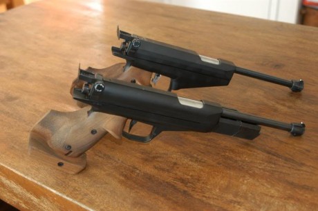 Buenos dias a todos?, puede que en un futuro cercano me adentre en serio en el mundo del tiro con pistola 130