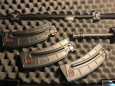 Se vende carabina S&W MP15 22lr con 3 cargadores, porta cargadores para IPSC, punto rojo, tornillo 02