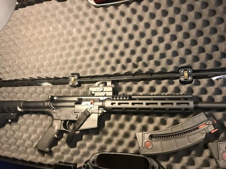 Se vende carabina S&W MP15 22lr con 3 cargadores, porta cargadores para IPSC, punto rojo, tornillo 01
